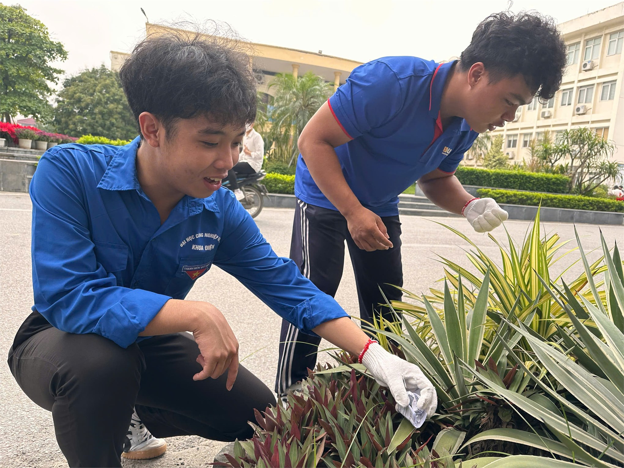 Ngày Chủ nhật xanh lần thứ 3 năm 2025